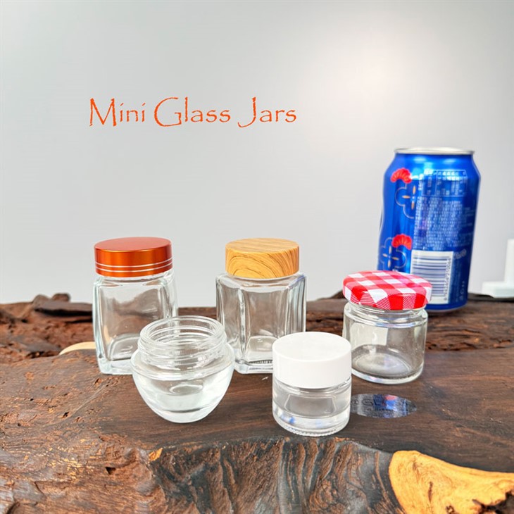 Mini Glass Food Jar