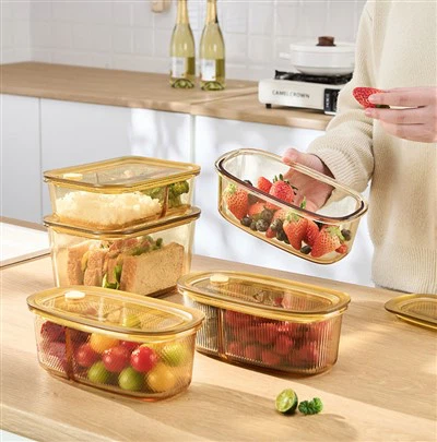 Borosil Glass Lunch Box